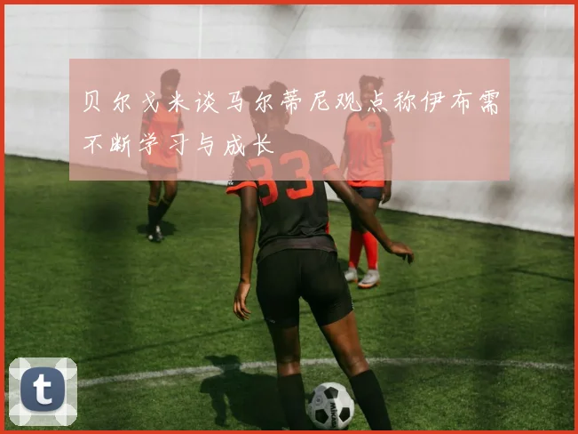 贝尔戈米谈马尔蒂尼观点称伊布需不断学习与成长