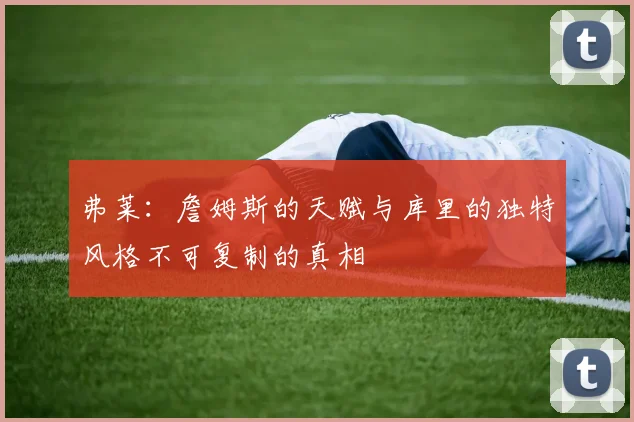 弗莱:詹姆斯的天赋与库里的独特风格不可复制的真相